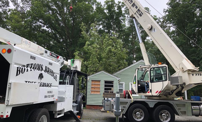 Tree Trimming, Tree Removal, Storm Clean Up - Catonsville, Ellicott City,  Columbia, MD