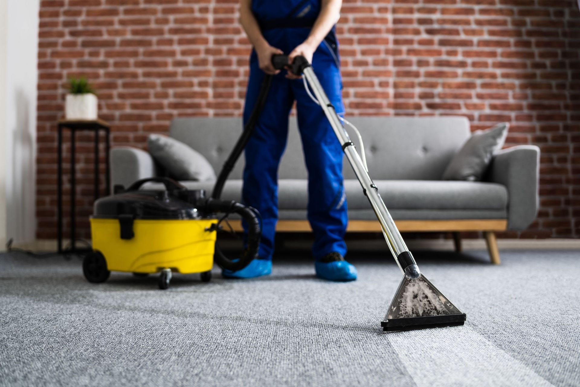 Carpet Repair and Cleaning