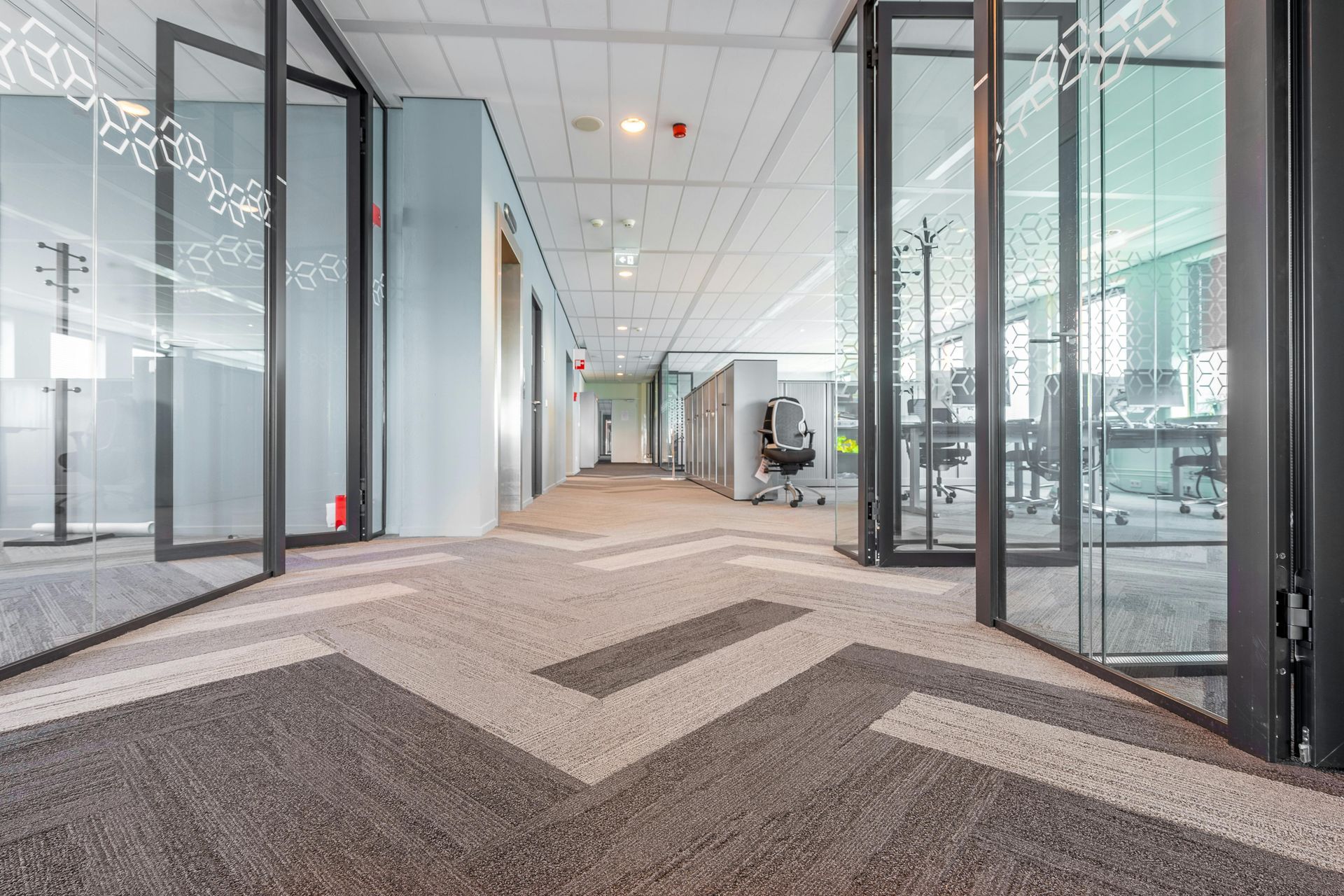 A long hallway in an office building with a carpeted floor and glass doors.