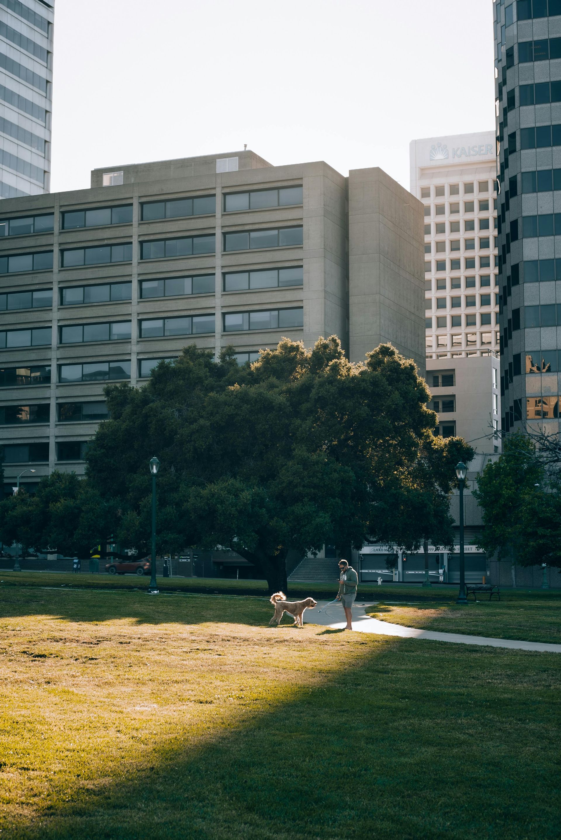 Oakland business buildings