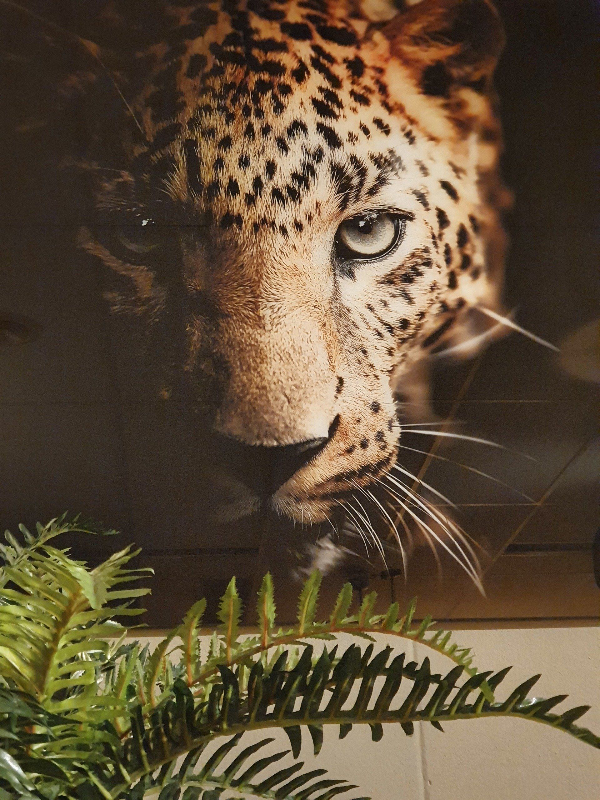 Wandwerk schilderij op glas panter