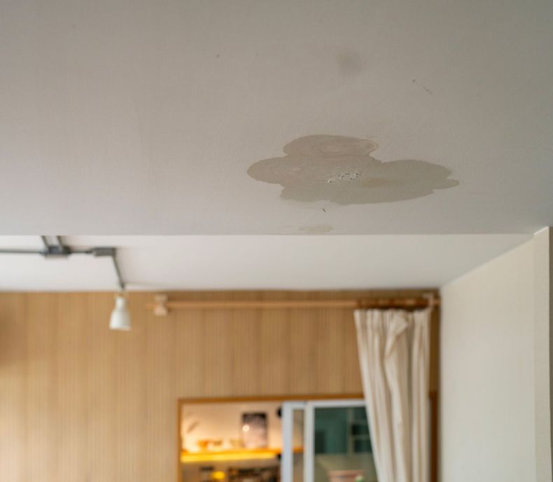 Water stain on a white ceiling; likely a leak in a living room.