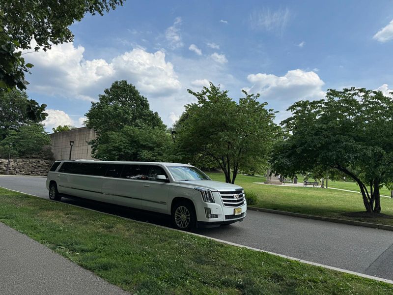 A white limousine is parked on the side of the road.