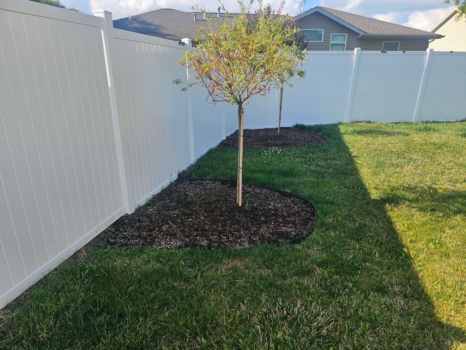 A small tree is growing in the middle of a lush green yard next to a white fence.