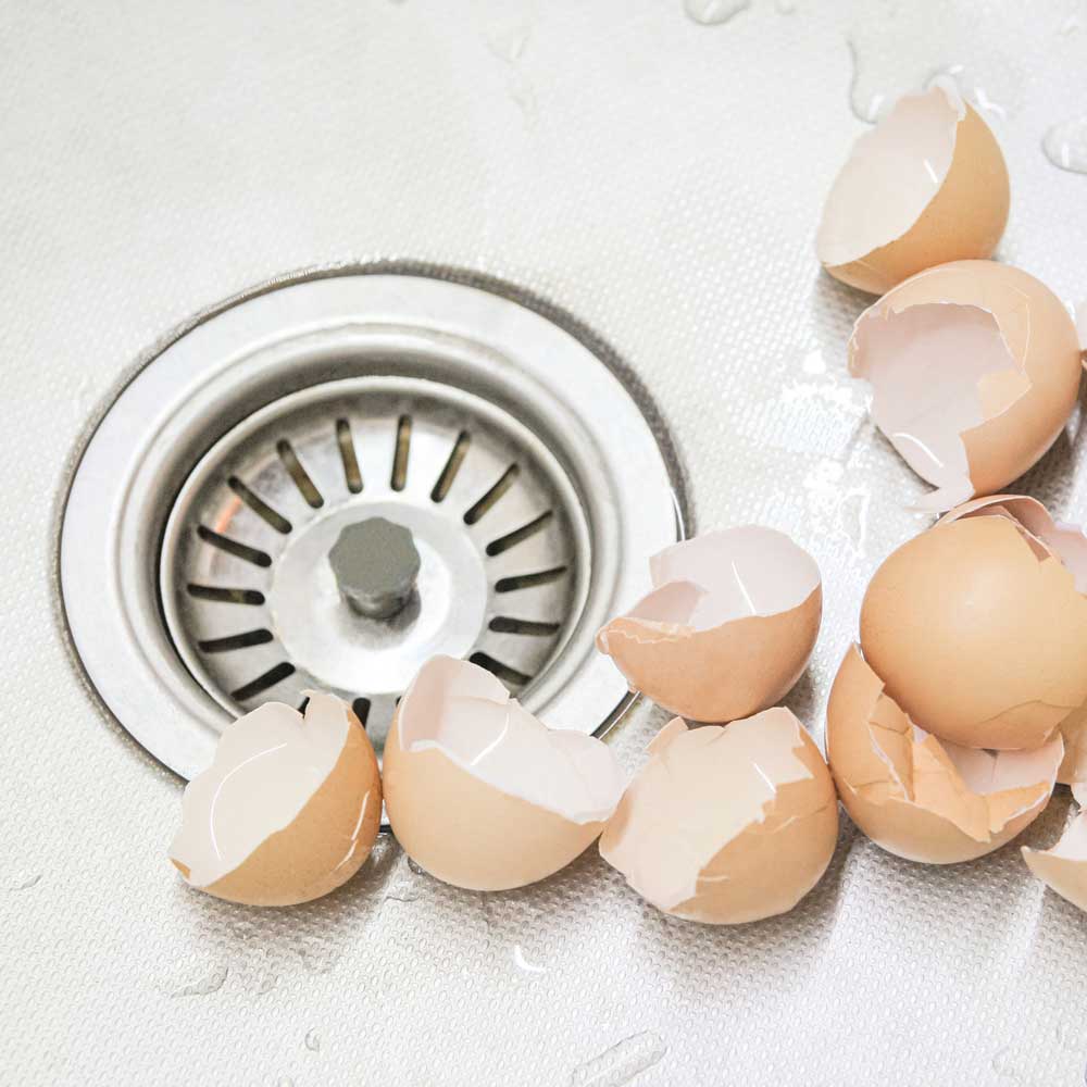 Egg Shells — South Berwick, ME — Value Rooter