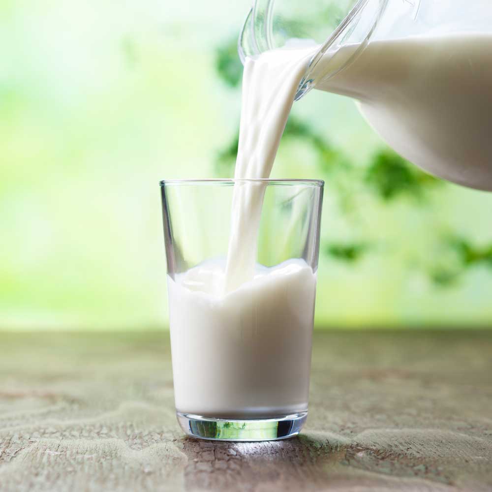 Milk — South Berwick, ME — Value Rooter