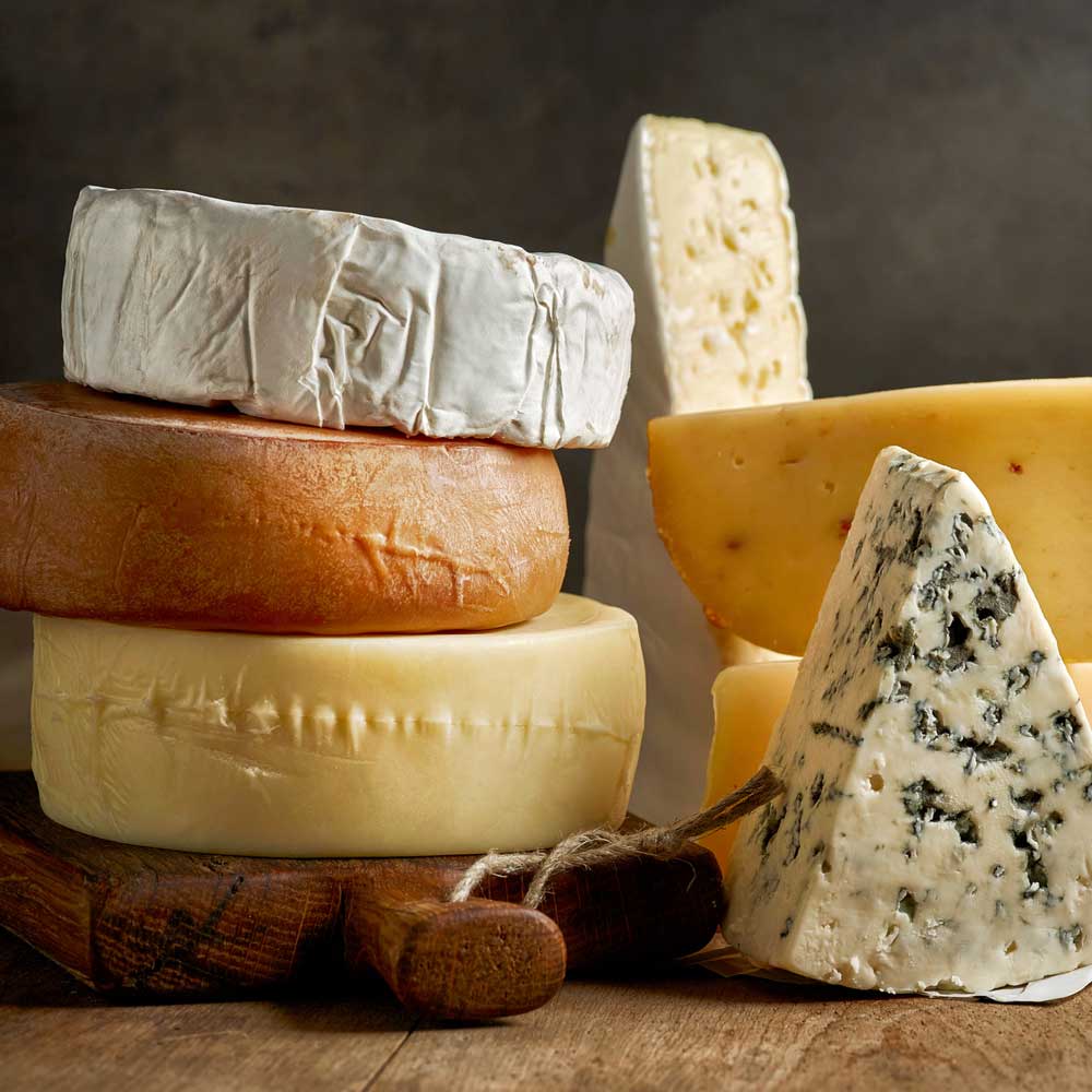 Different Cheese — South Berwick, ME — Value Rooter