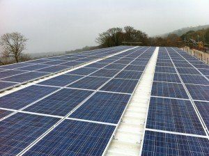 long rows of solar panels