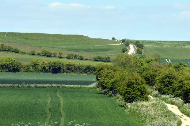 Section of England's oldest road, the 5000 year old Ridgeway which connects many ancient sites, here passing the iron age Uffington fort in Oxfordshire.