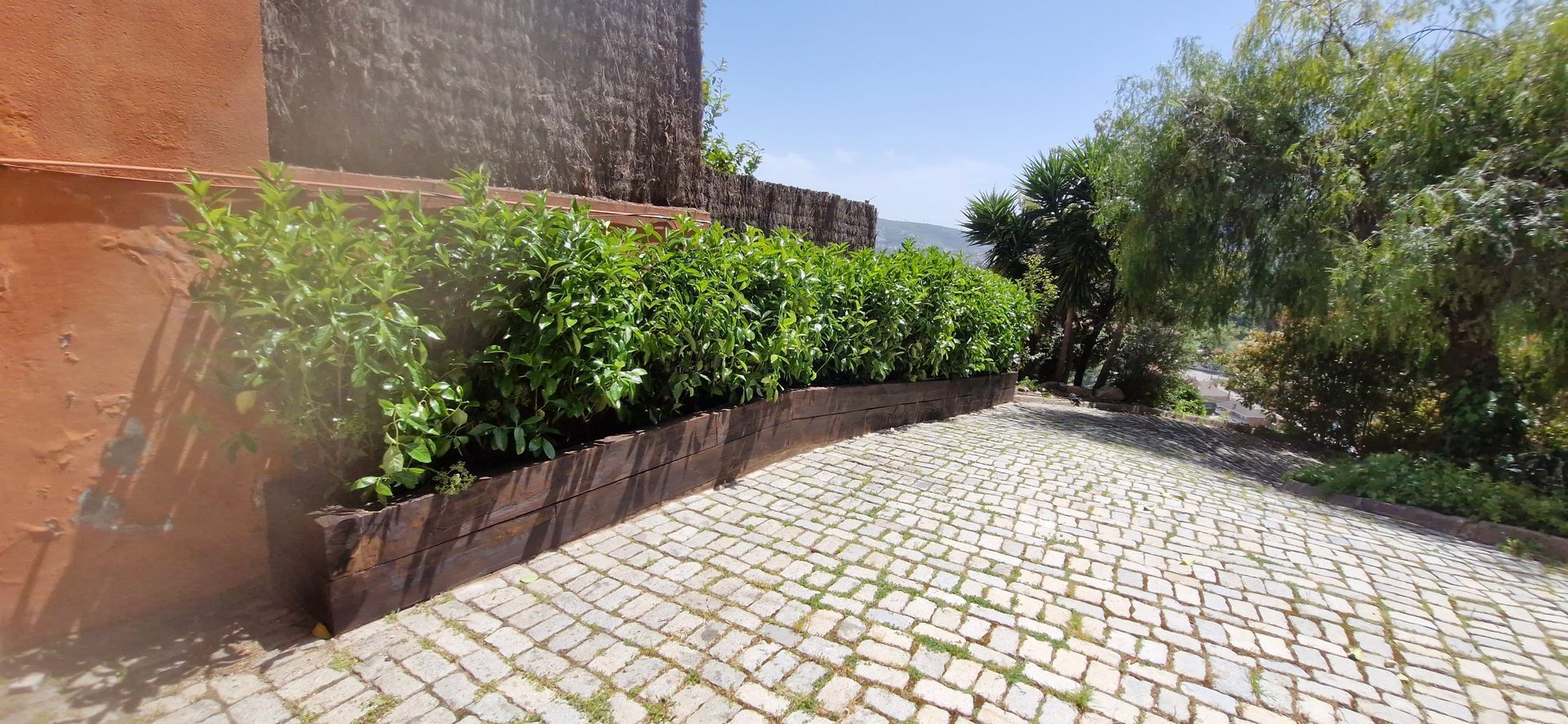 Diseño de jardín con tarima tecnológica
