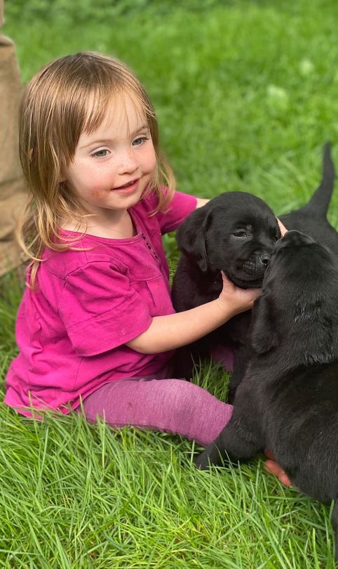 A little girl is sitting on the grass holding a black puppy