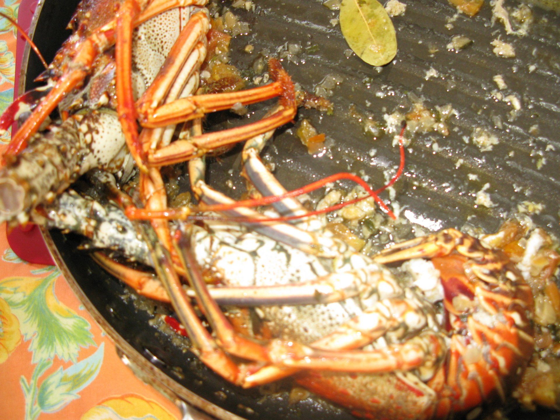 Caribbean lobster l'americana - grilled herbs, garlic & butter -