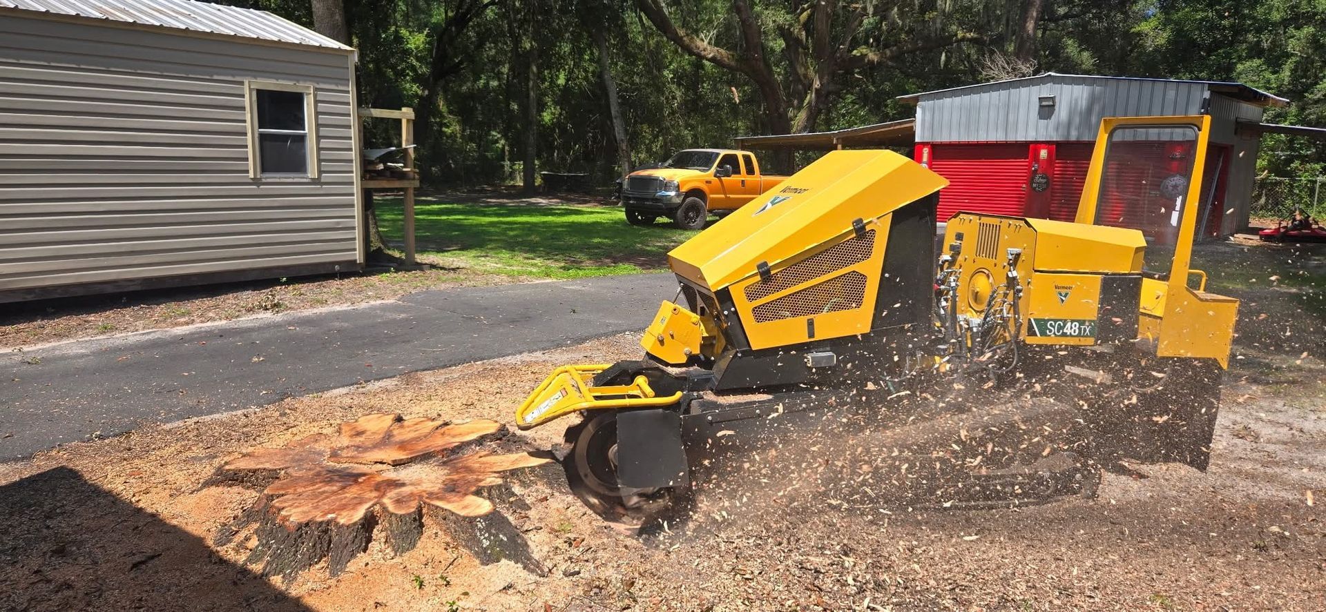 A yellow stump grinder grinding a tree stump in a yard, creating wood chips.