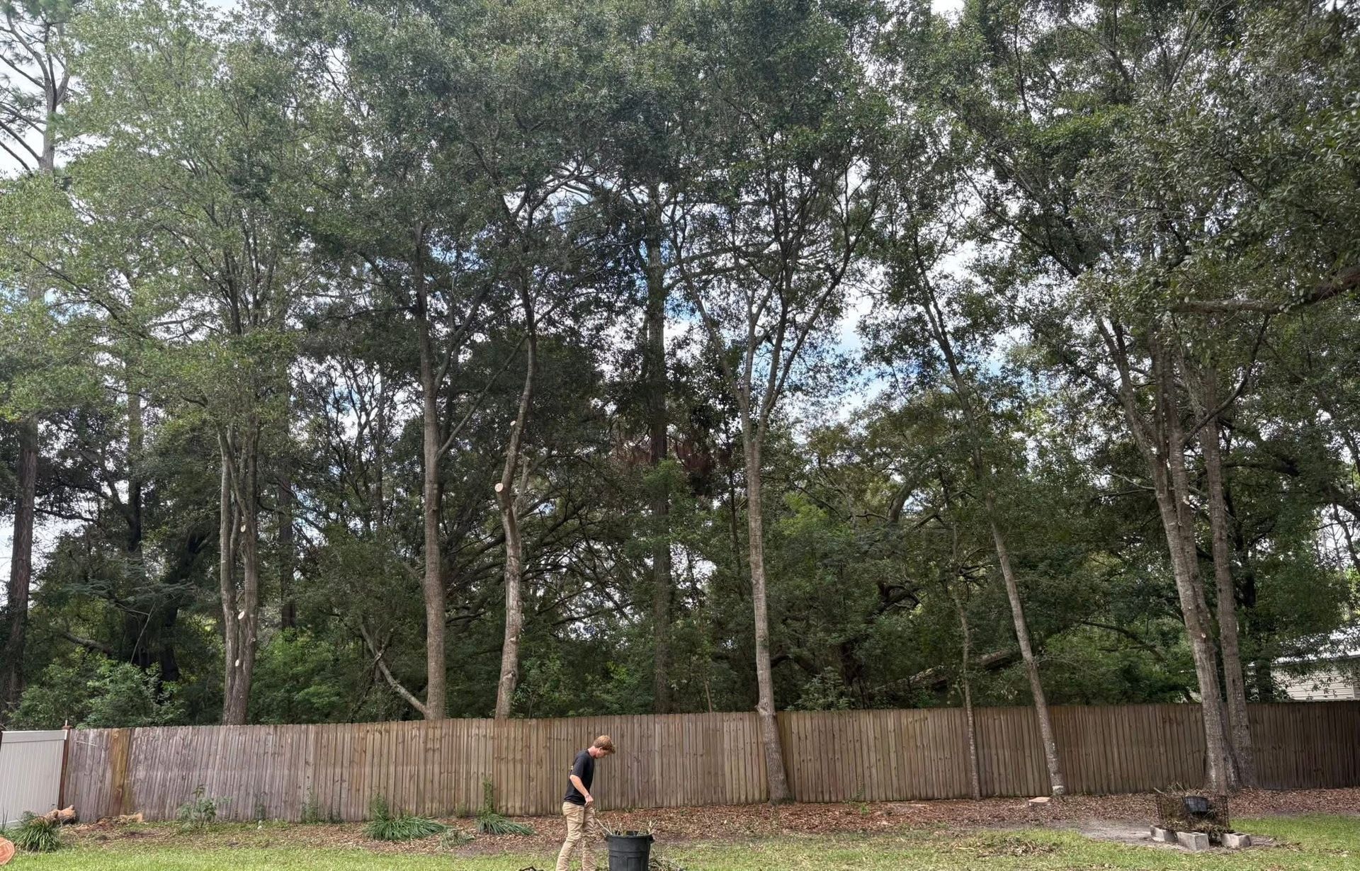 A person walks in front of a wooden fence and trees on a grassy lawn.