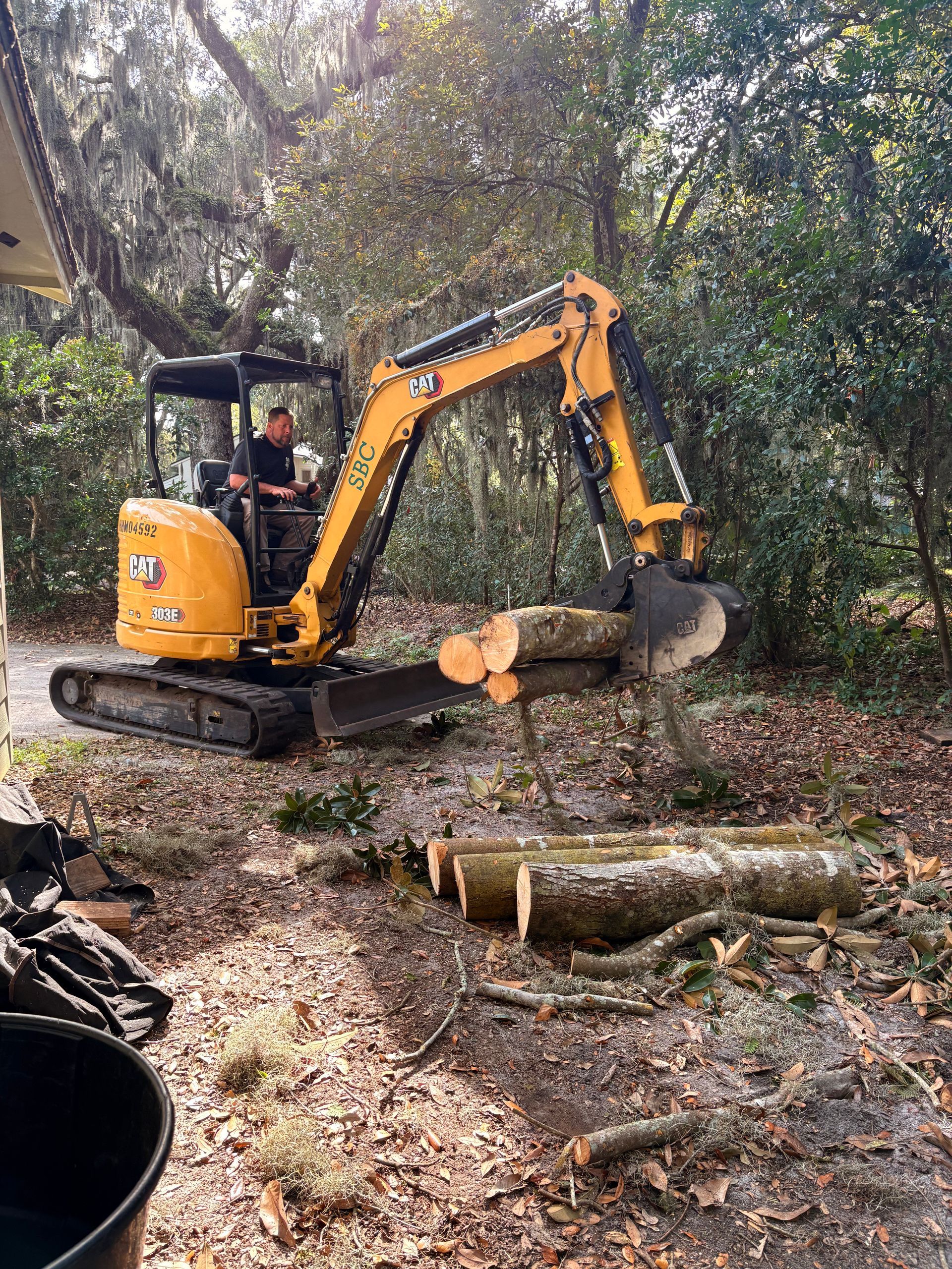 Arborist cutting a large tree trunk with a chainsaw, wearing safety gear, against a blue sky.
