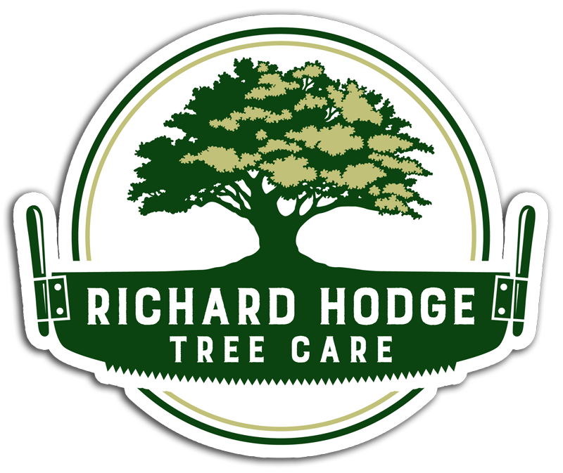 Black chainsaw over text reading "Richard Hodge Tree Care."