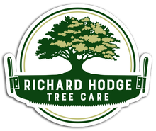 Black chainsaw over text reading "Richard Hodge Tree Care."