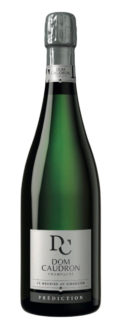 Dom Caudron Prediction