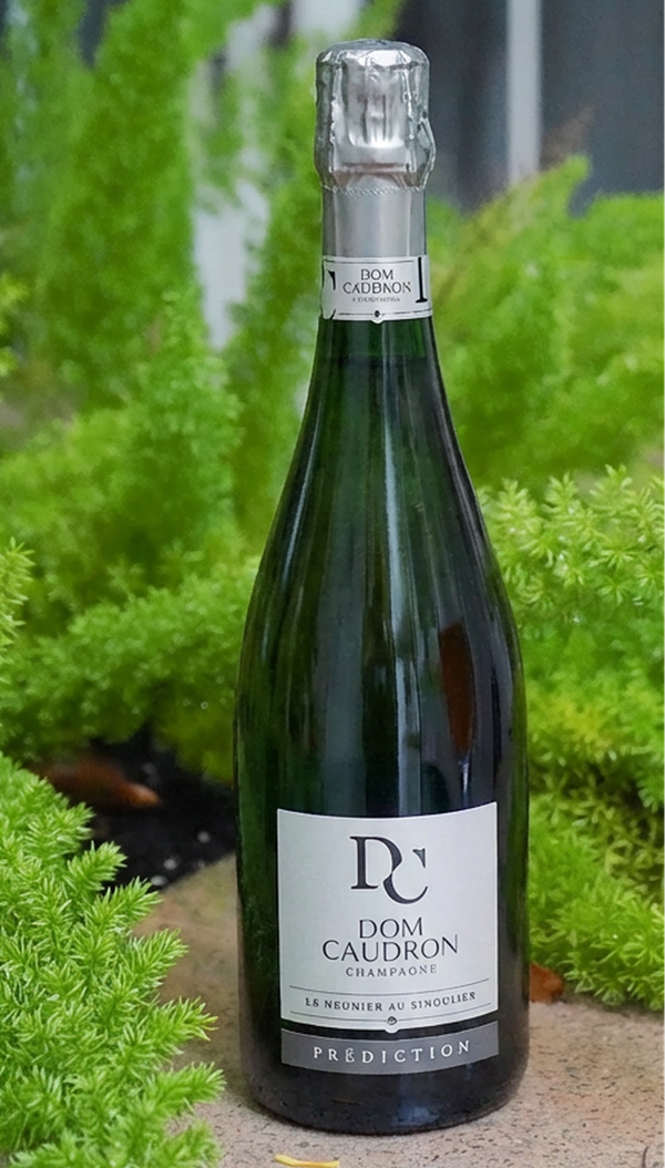 Bottle of Dom Cauldron sparkling wine against a backdrop of green foliage.