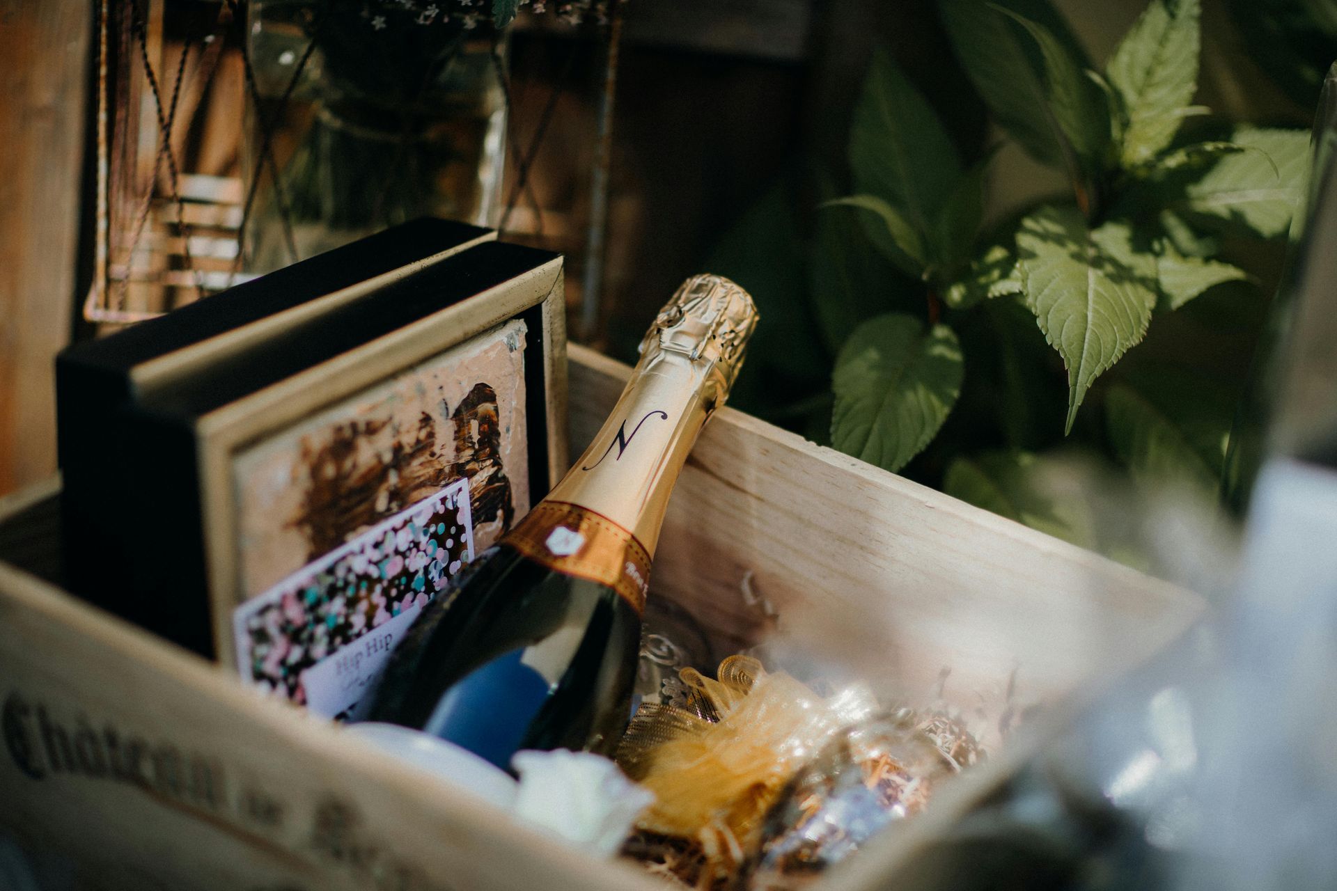 Champagne bottle and framed photos in wooden crate, beside green plants.