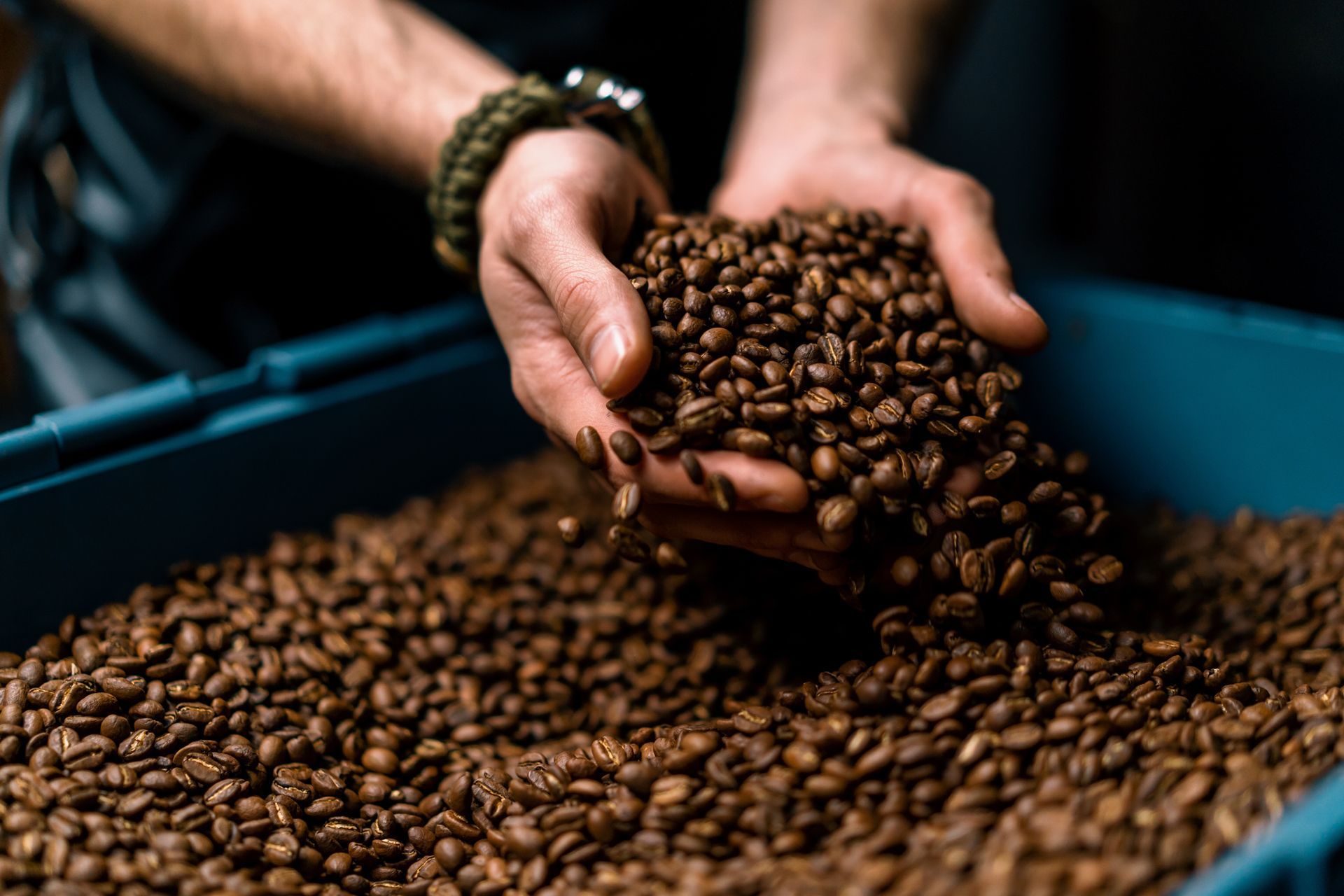 Man Holding a Pile of Coffee Beans