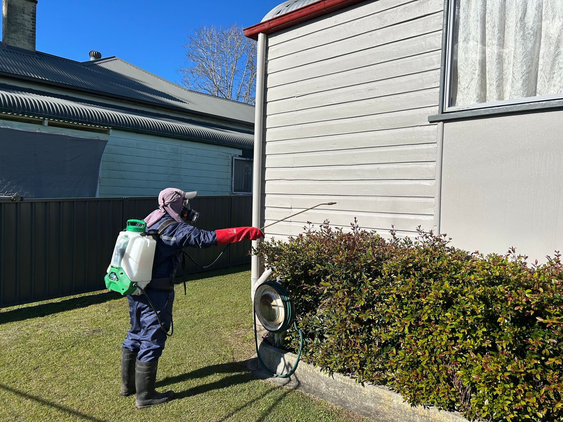 Person in protective gear spraying pesticide on a bush next to a house. — Precision Pest Services in Wherrol Flat, NSW
