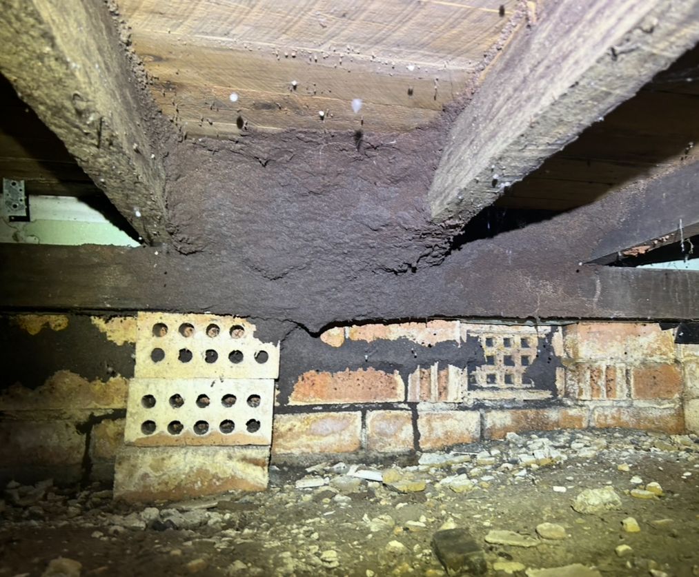 Termite mud tunnel structure under wooden beams, built on a brick foundation. — Precision Pest Services in Wherrol Flat, NSW