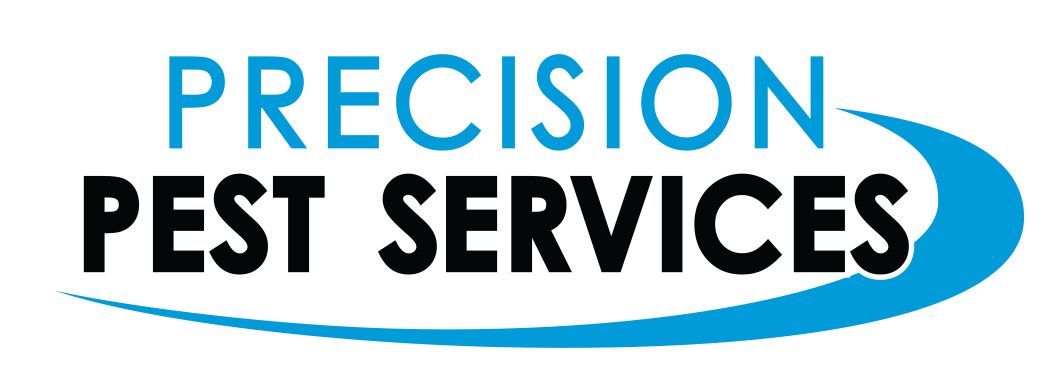 Pest Control Services in Taree