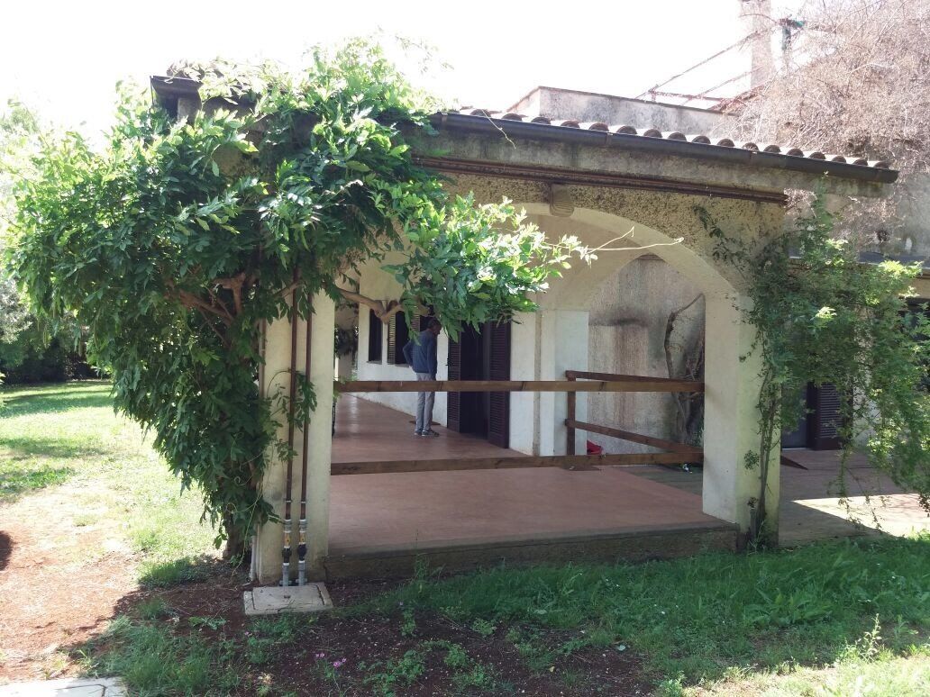 porticato con piante