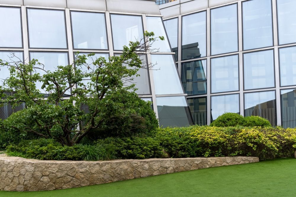 Green shrubs and trees in front of a modern building with large glass windows, green lawn.