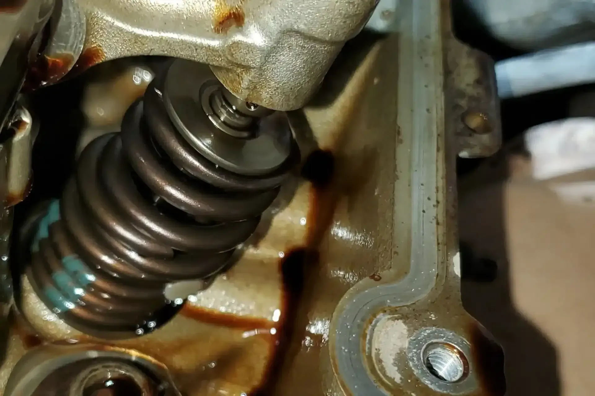 Valve spring assembly within an engine cylinder head, showing springs and oil. | Performance Auto Repair