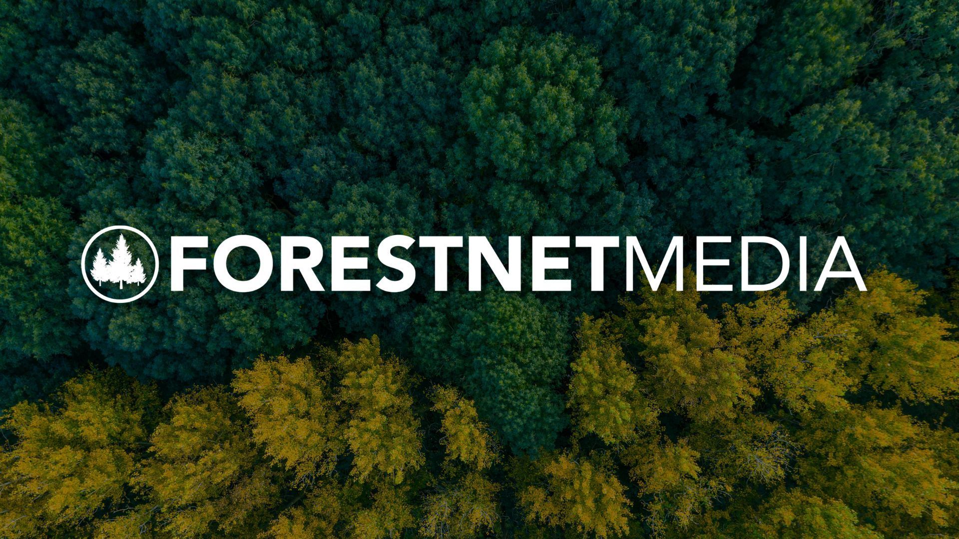1.9M Views in 6 Months For Forestry Media Company