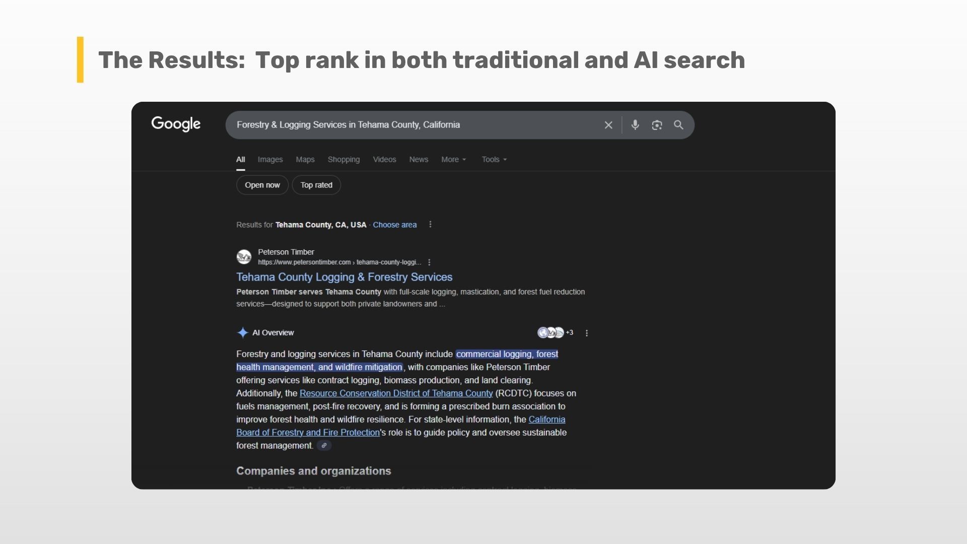 Google search results for