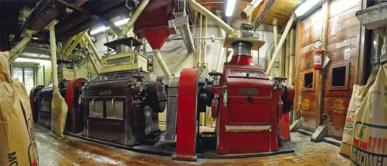 Farina di grano tenero Molino Giacomini