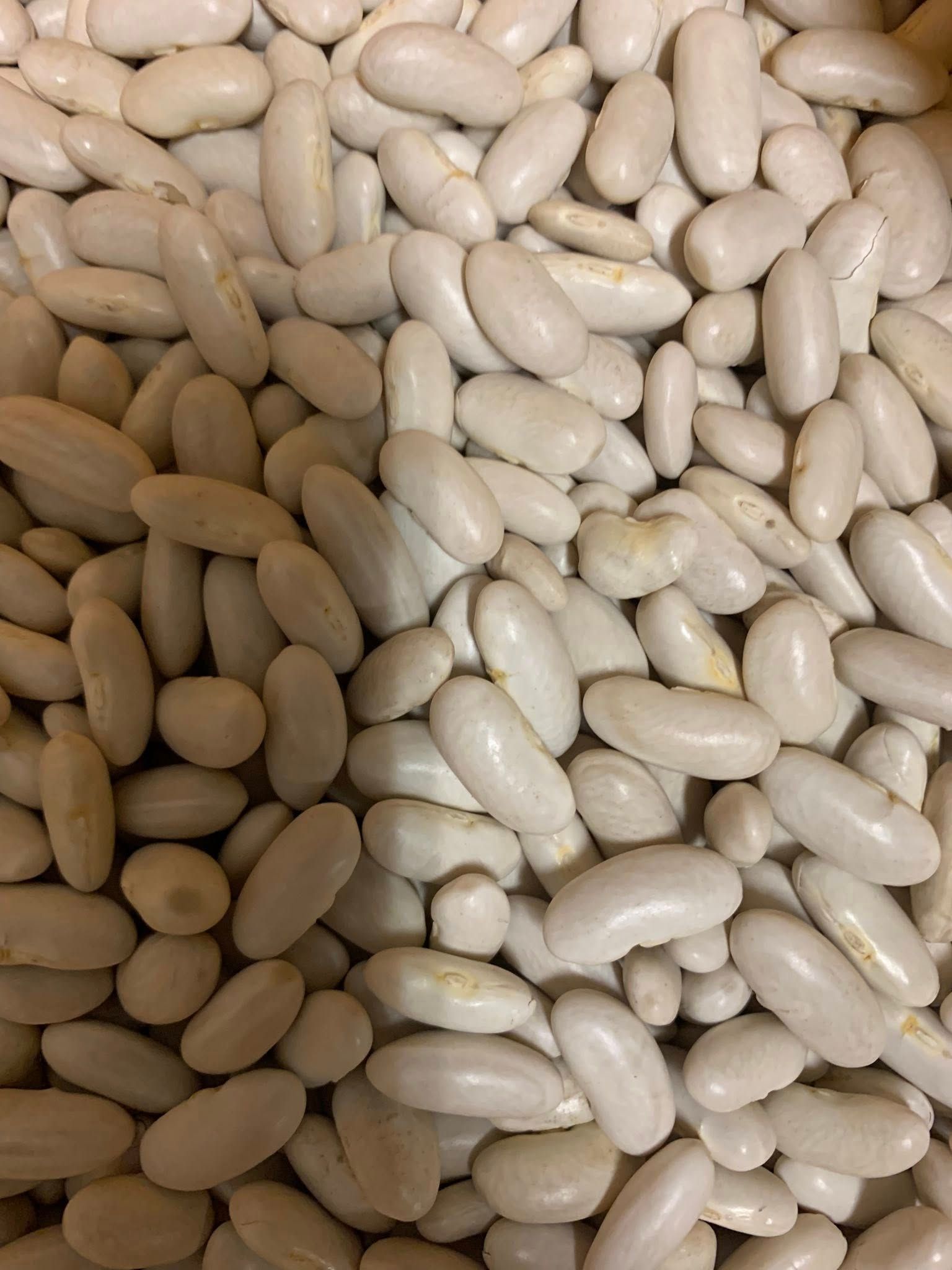 vendita mescita legumi secchi