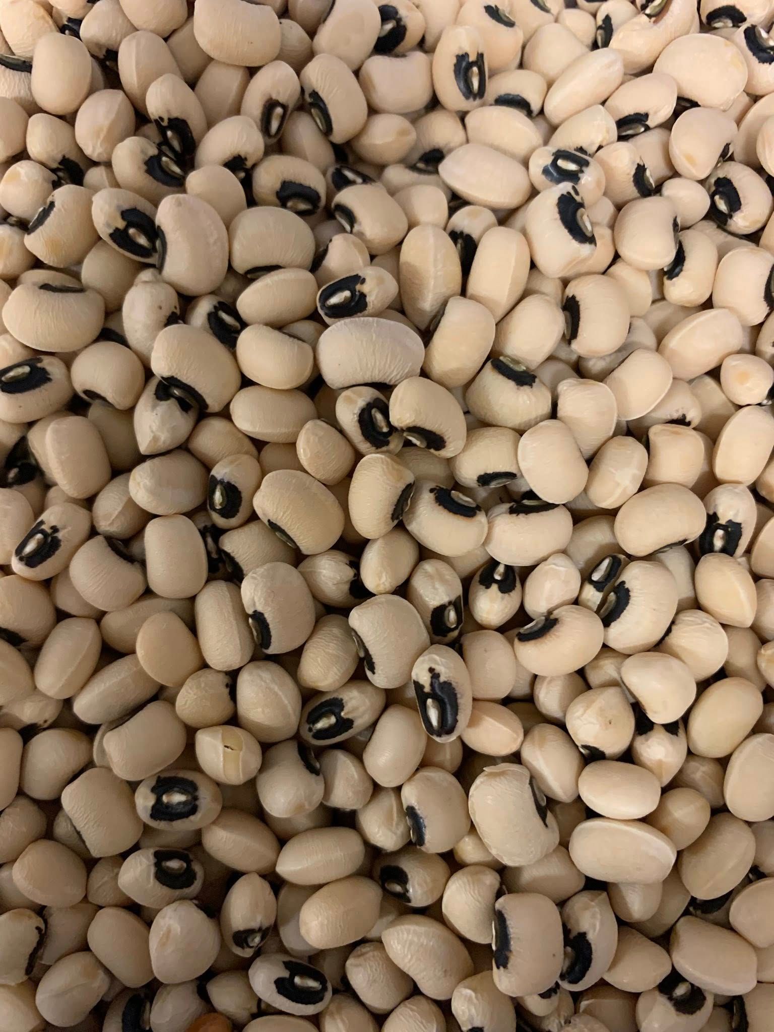 vendita mescita legumi secchi