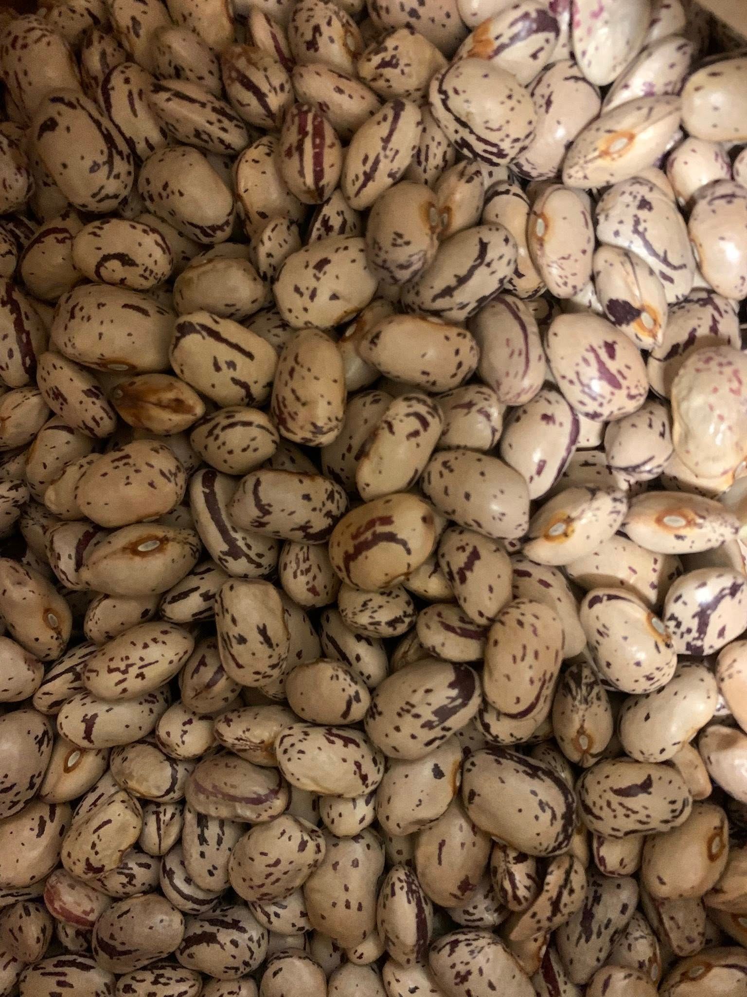 vendita mescita legumi secchi