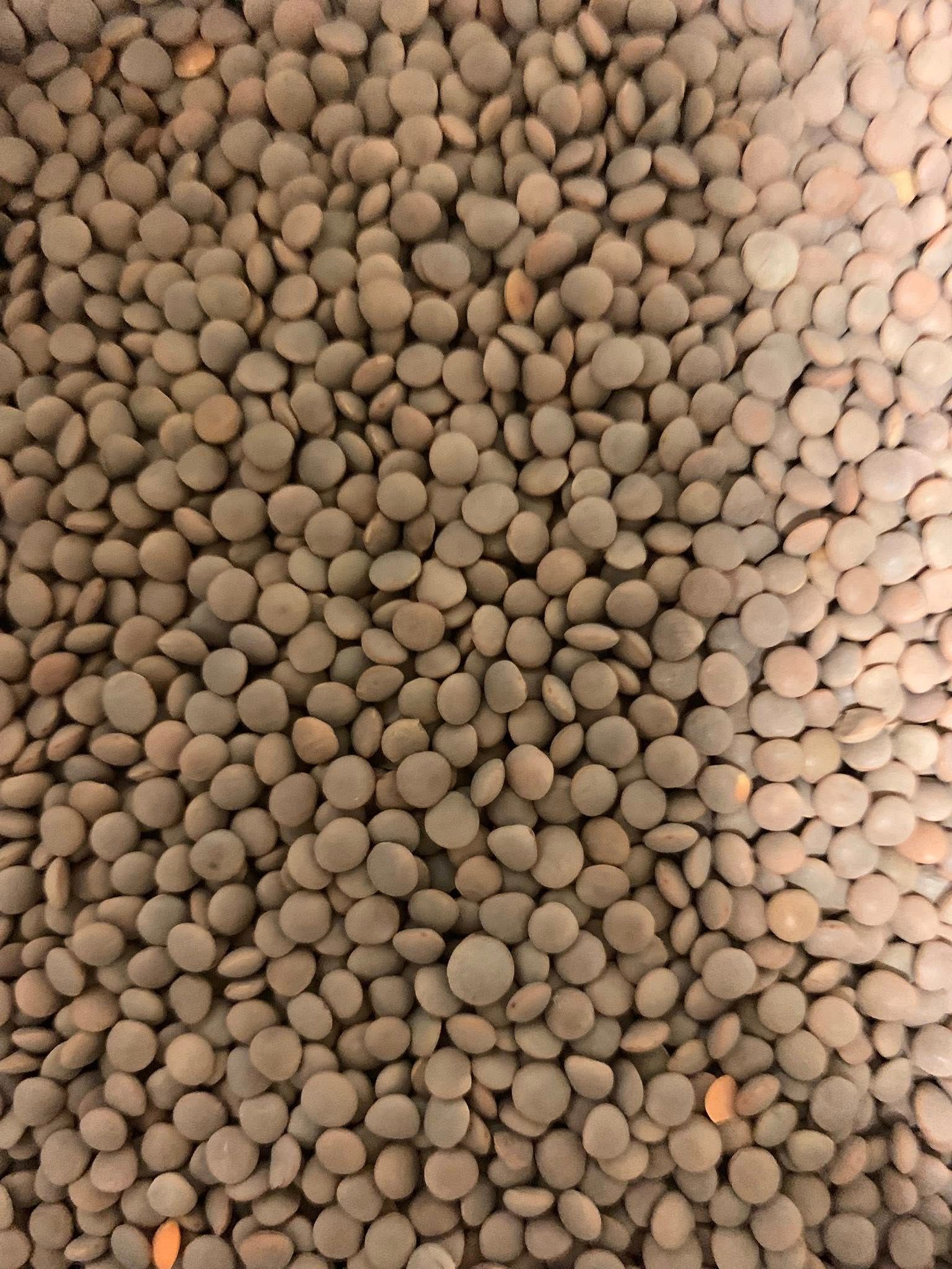 vendita mescita legumi secchi