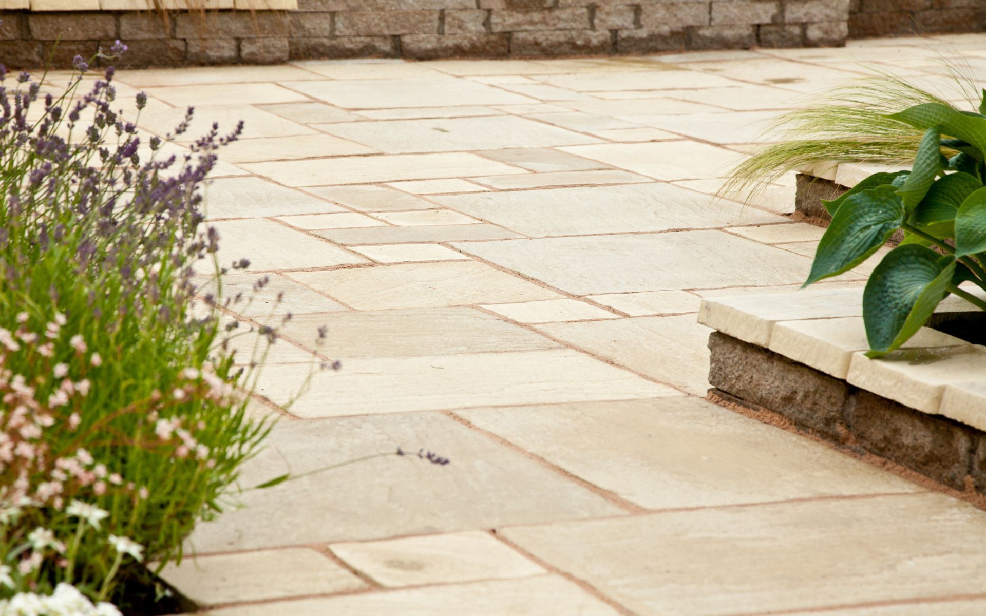 a patio with flowers and a plant on the side of it .
