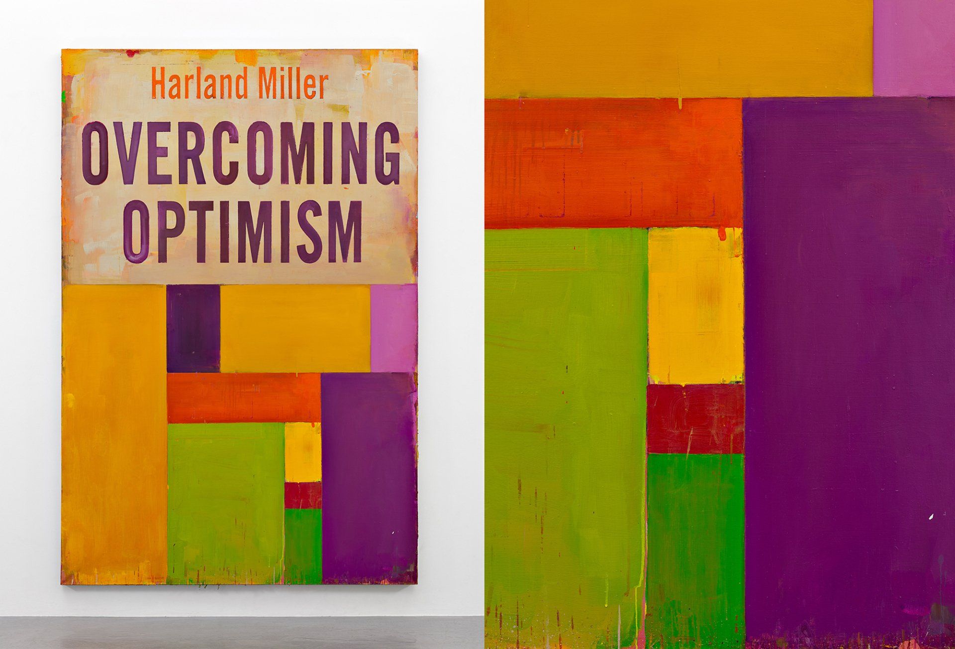 Harland Miller  -peter mallet photography