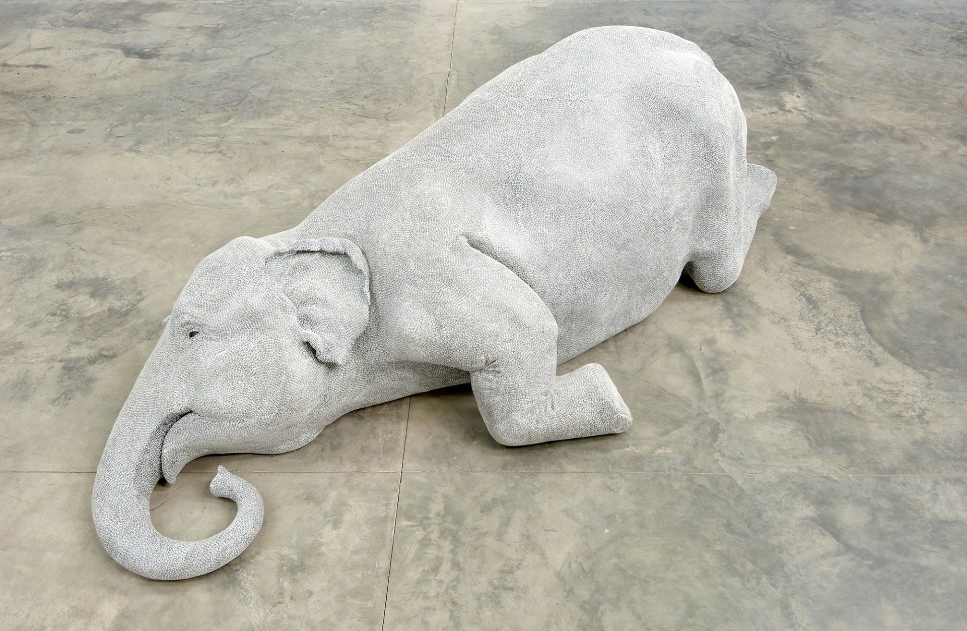 Bharti Kher / The Skin speaks a language not its own 2006 /Peter mallet photography