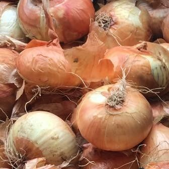 locally grown yellow onions