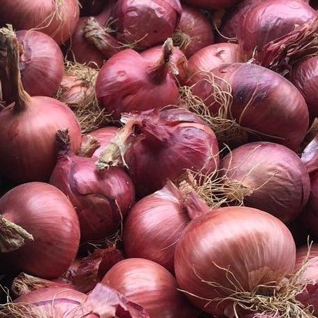 locally grown purple onions