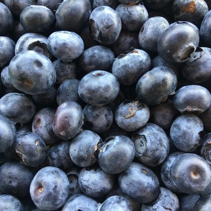 locally grown blueberries
