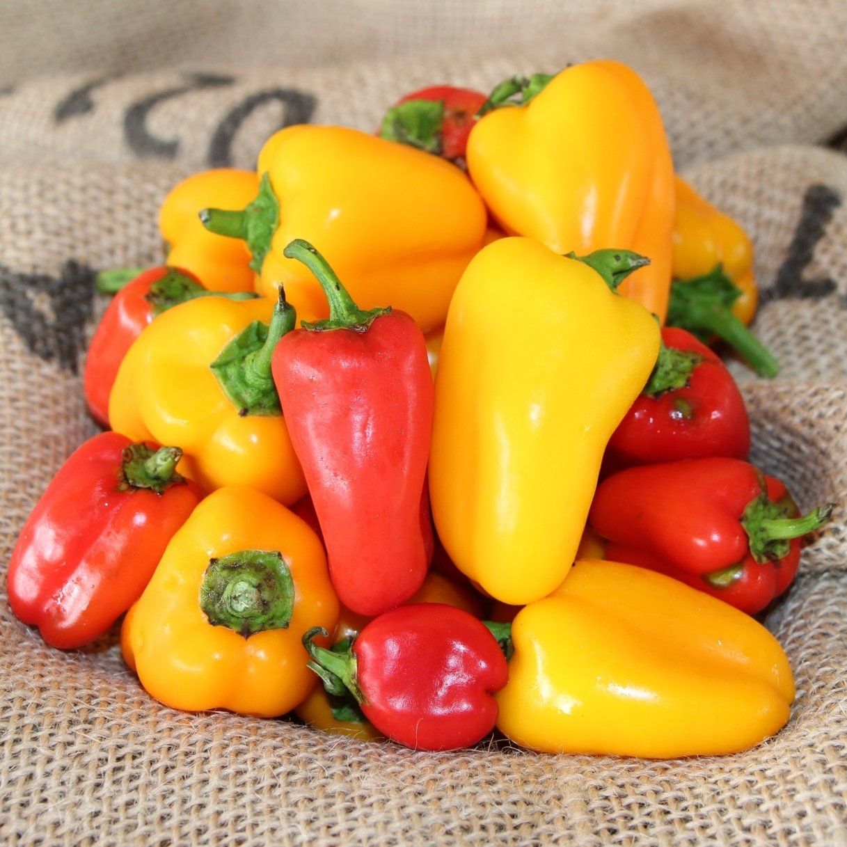 locally grown peppers