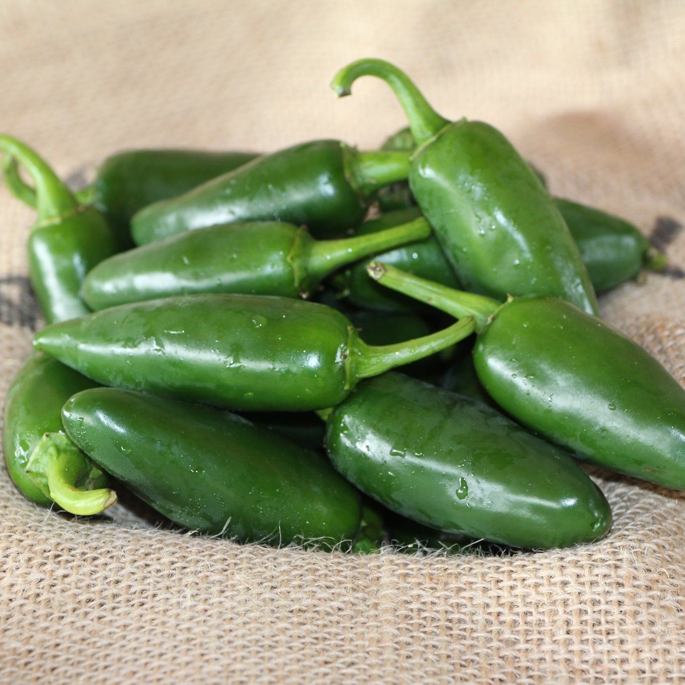 locally grown jalapeno peppers