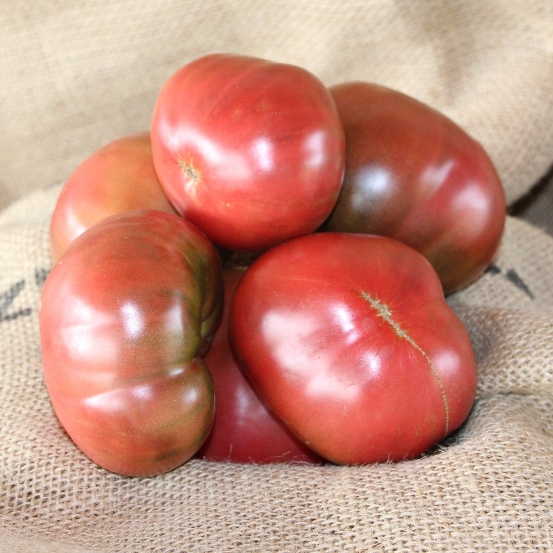 locally grown purple tomatoes