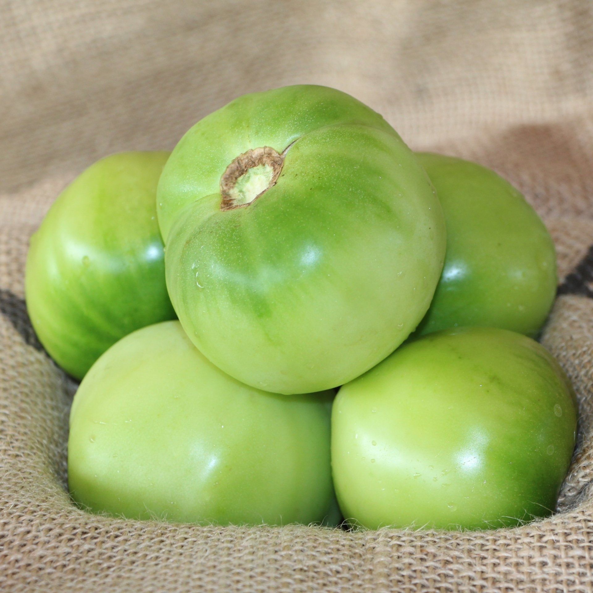 locally grown green tomatoes