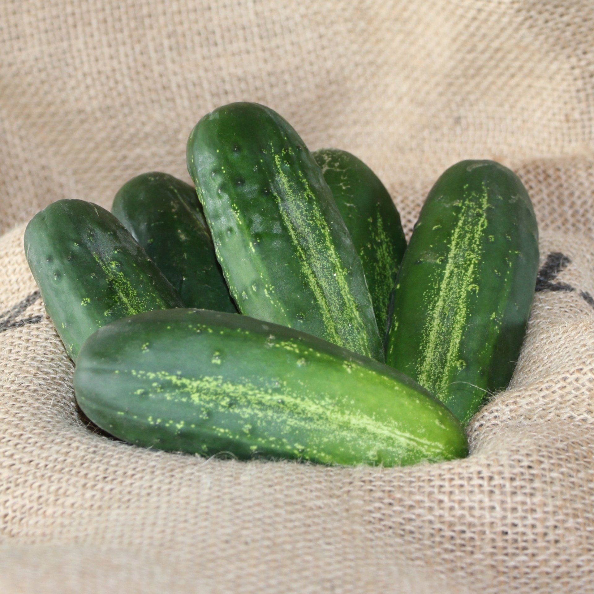 locally grown cucumbers