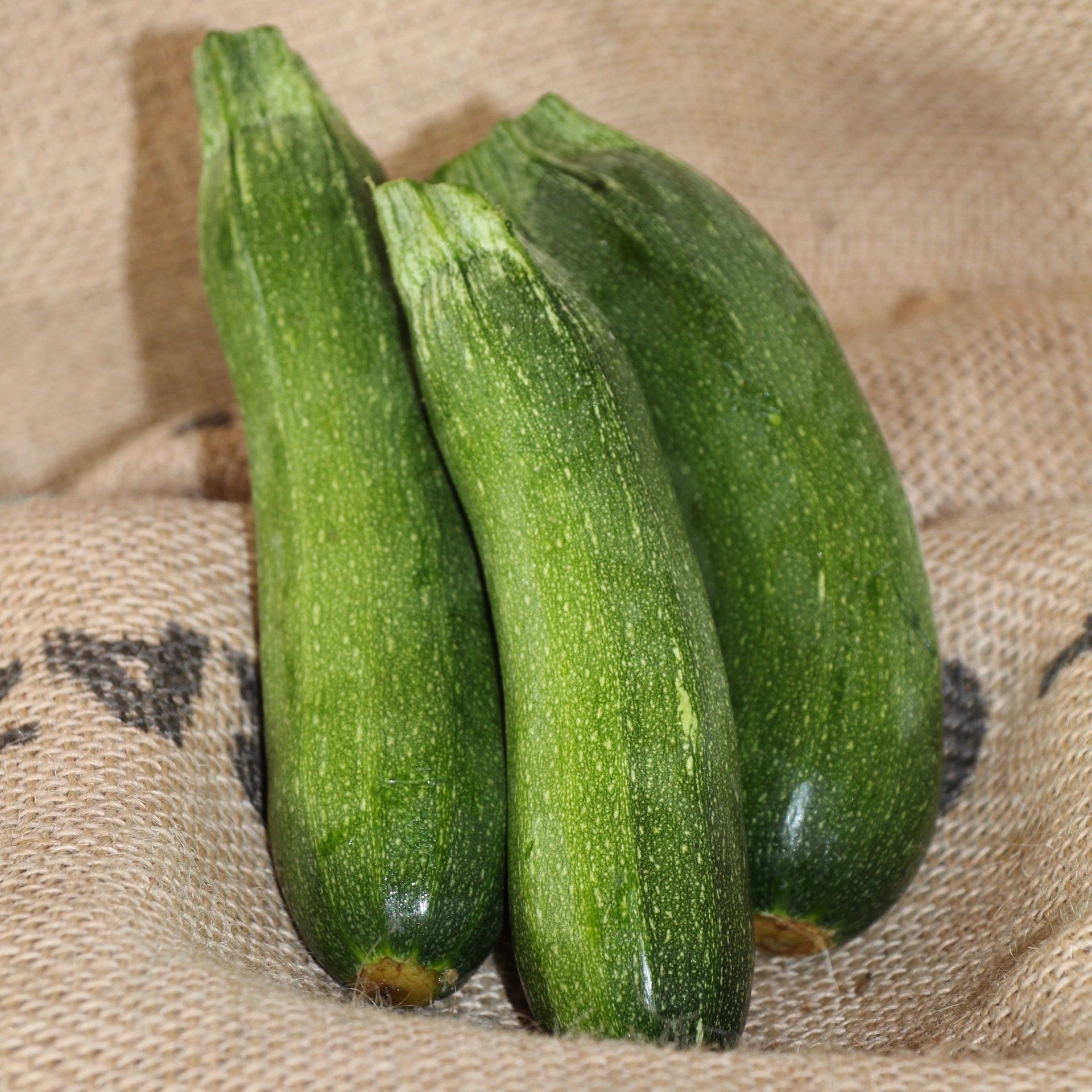 locally grown zucchini